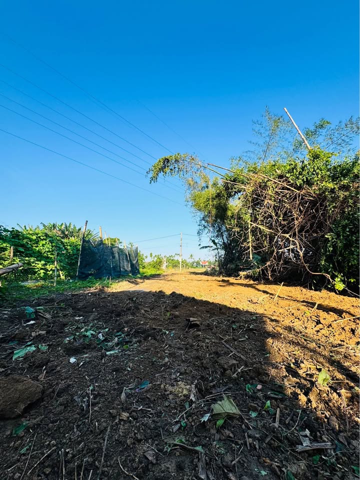 Đất Năng Xã, Nghĩa Hiệp 182m² giá 450 triệu - Cơ hội đầu tư tuyệt vời!