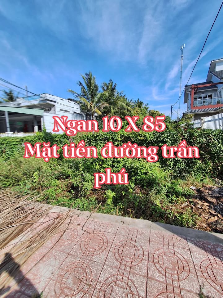 Đất nền mặt tiền đường Trần Phú, Xã Bình Phú, 847m² giá 4 tỷ - Cơ hội đầu tư hấp dẫn!
