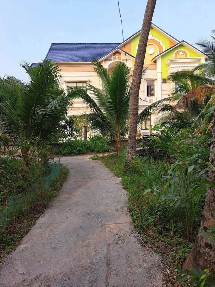 Đất vườn Nhơn Thạnh 300m² giá 500 triệu - Cơ hội đầu tư hấp dẫn!