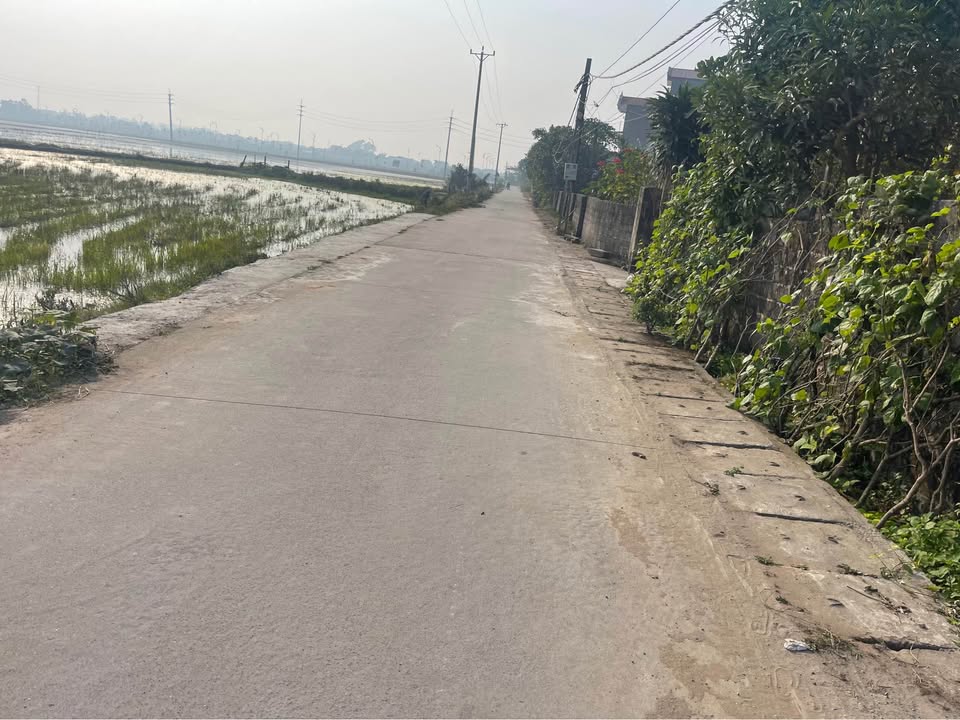 Đất nền xã Lương Bằng, Hưng Yên 147m² giá chỉ 2 tỷ - Cơ hội đầu tư tuyệt vời!