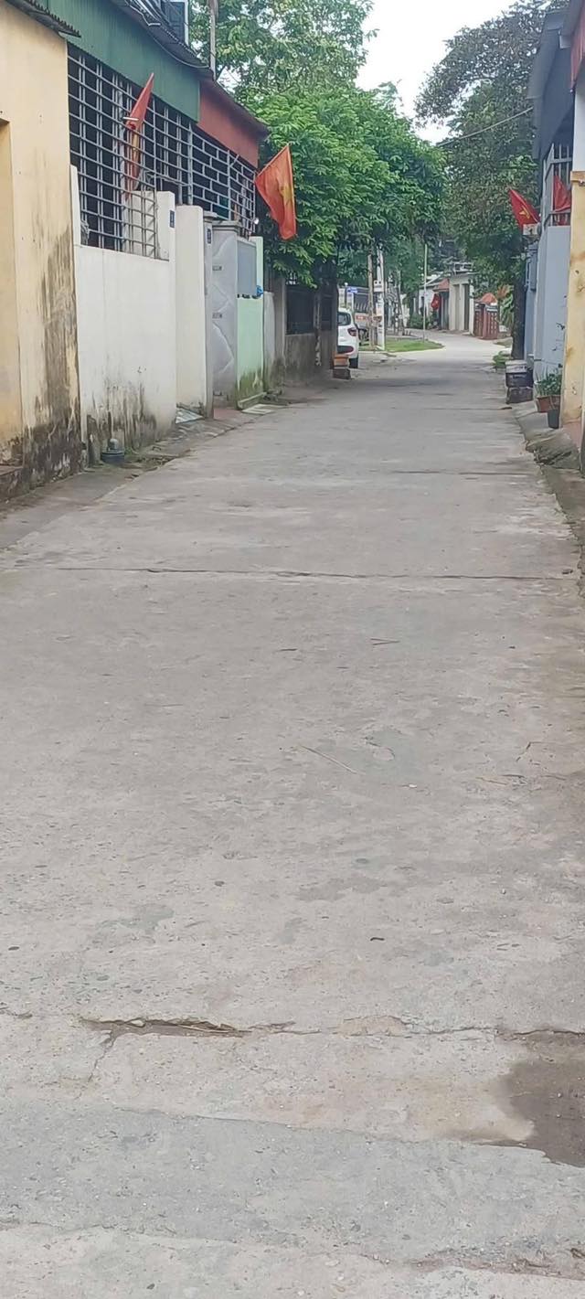 Đất nền KDC Thái Bình - Thạch Khôi 50.3m² giá 1 tỷ - Đường ô tô tận nơi!