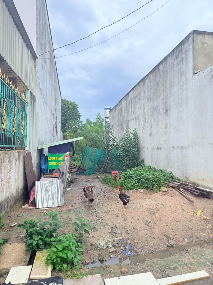 Đất nền Ấp 5, Xã Long Thọ, 110m² - Sổ riêng, giá thỏa thuận!