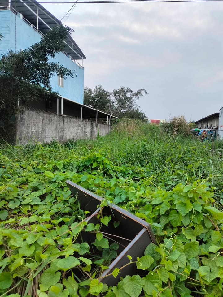 Bán gấp FrontHouse mặt tiền đường Dương Kỳ Hiệp, Sóc Trăng 650m² - Giá chỉ 8 tỷ thương lượng!