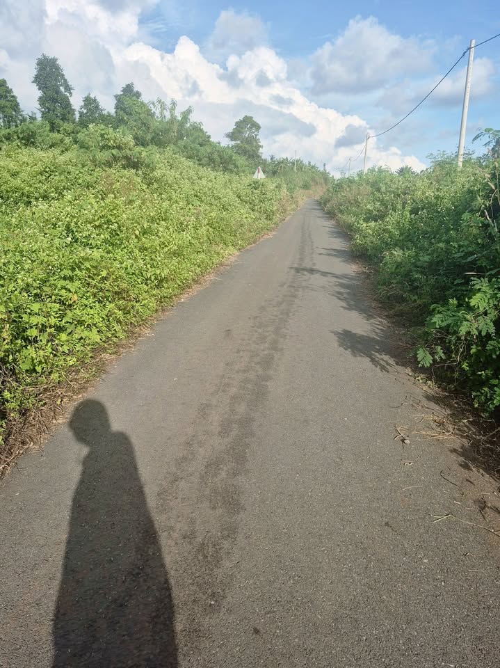 Đất nền 5400m² tại Xã Xà Bang, Huyện Châu Đức - Giá chỉ 1.2 tỷ, sổ hồng chính chủ!