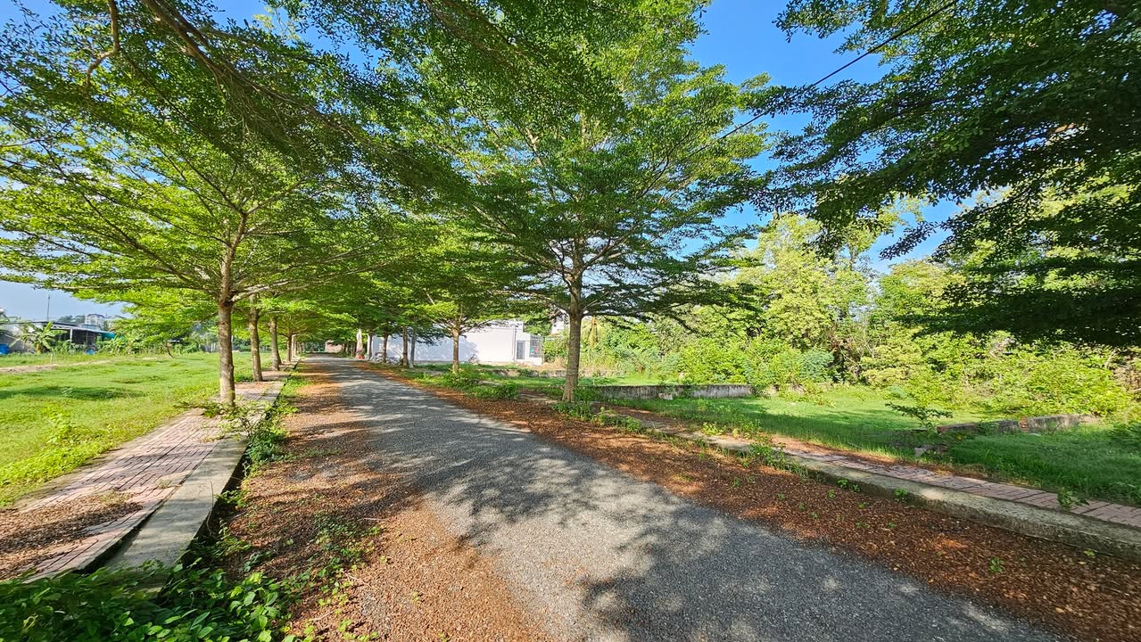 Đất nền chính chủ đường Nhựa, phường Trường An, TP Vĩnh Long 105m² - Giá tốt chờ bạn!