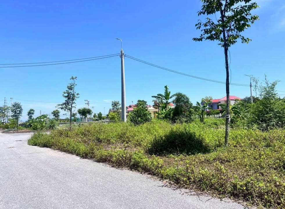 Đất nền Thiệu Thịnh 130m² giá tốt - Đối diện KCN Giang Quang Thịnh