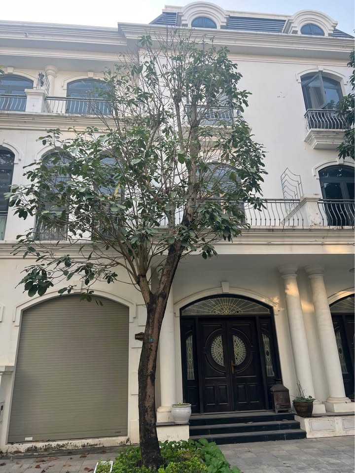 Biệt thự Townhouse Vinhomes Star City Thanh Hóa 87.5m² giá 7 tỷ - Sổ đỏ chính chủ, giao dịch ngay!