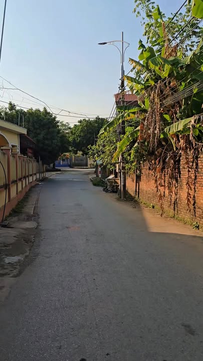 Đất nền đẹp mặt tiền đường Nguyễn Du, Hiệp Hòa, 142m² - Kinh doanh thuận lợi!