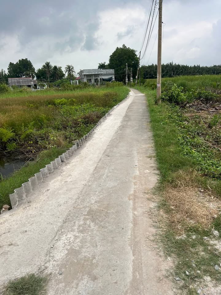 Đất thổ cư 279m², tổng diện tích 1927m², Hương lộ 24 - Giá chỉ 1.5 tỷ thương lượng!