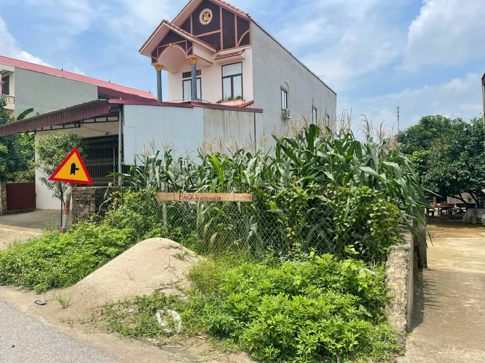 Đất mặt đường QL32, Huyện Hạ Hòa, 172m² chỉ 2.x tỷ - Cơ hội đầu tư sinh lời!