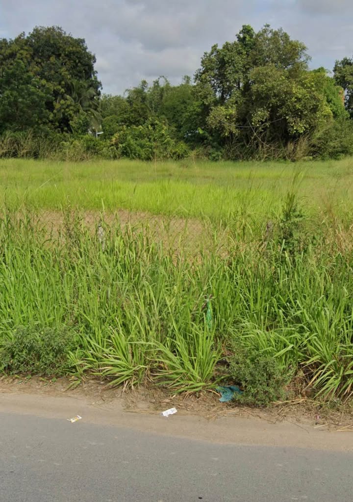 Đất nền Trảng Bàng Tây Ninh 100m² giá 1 tỷ - Đầu tư sinh lời hấp dẫn!