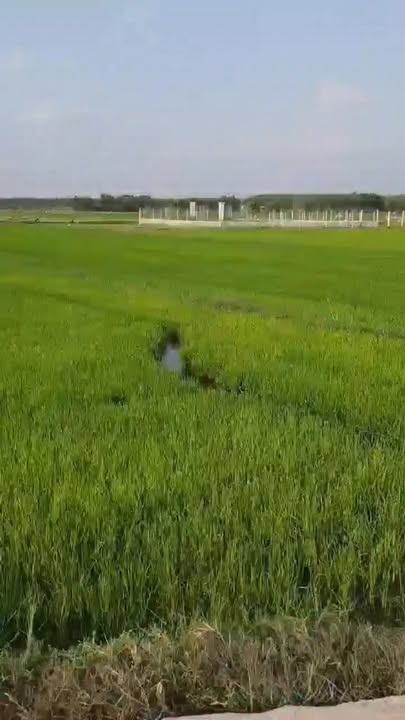 Đất vườn 1439m² tại xã Trung Lập Thượng giá 1.5 tỷ - Cơ hội đầu tư tuyệt vời!