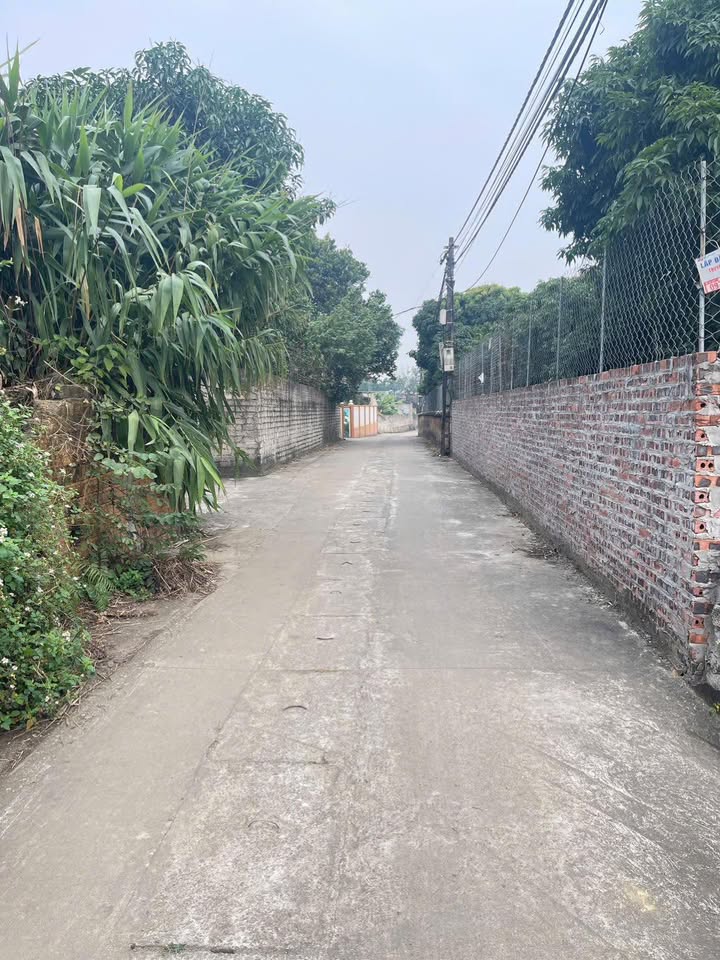 Đất thổ cư 100m² tại thôn Vật Yên, Ba Vì - Giá chỉ 1.x tỷ, ô tô vào tận đất!