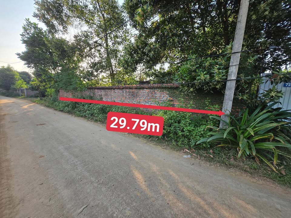 Đất nền chính chủ Cổ Đông 240m² giá 24 tỷ - Hàng hiếm không thể bỏ qua!