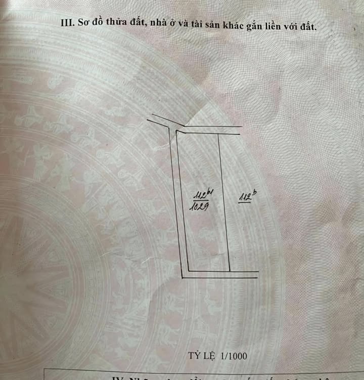 Đất nền Tản Lĩnh, Ba Vì 1000m² giá 4 tỷ - Lô góc 2 mặt tiền hấp dẫn!