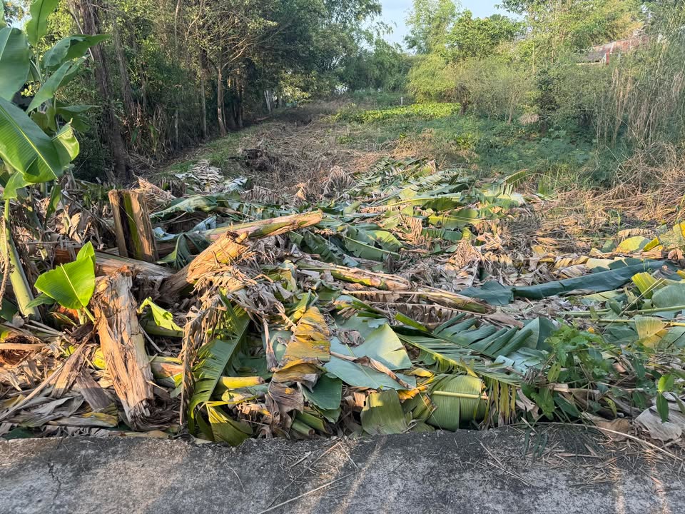 Đất nền xã Thạnh Tiến, Huyện Vĩnh Thạnh, 450m² chỉ 750 triệu - Thương lượng ngay!