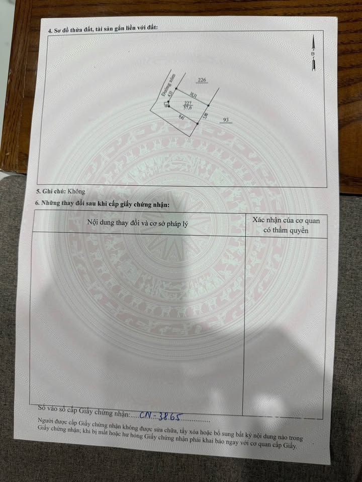 Đất nền 57,6m² Huyện Tam Nông - Giá chỉ 600 triệu, Đầu tư sinh lời ngay!