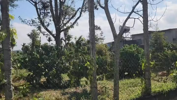 Đất thổ cư 200m² tại xã Ea Ning, Đắk Lắk - View cánh đồng thoáng mát!