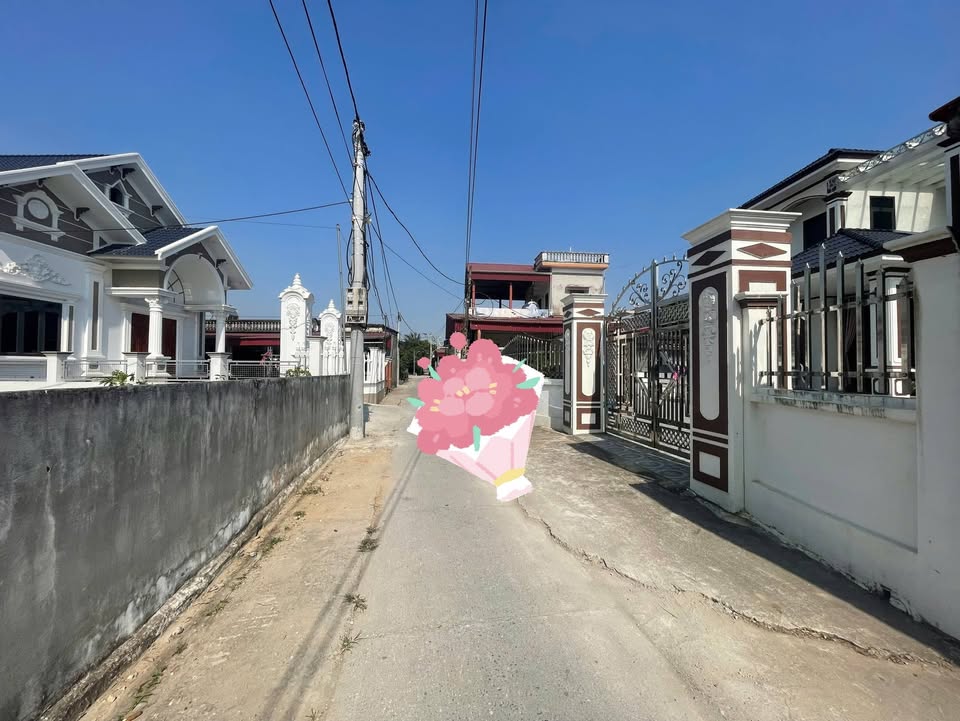 Đất nền 500m² KCN Chợ Lợn, Bình Lục giá 1 tỷ - Cơ hội đầu tư hấp dẫn!