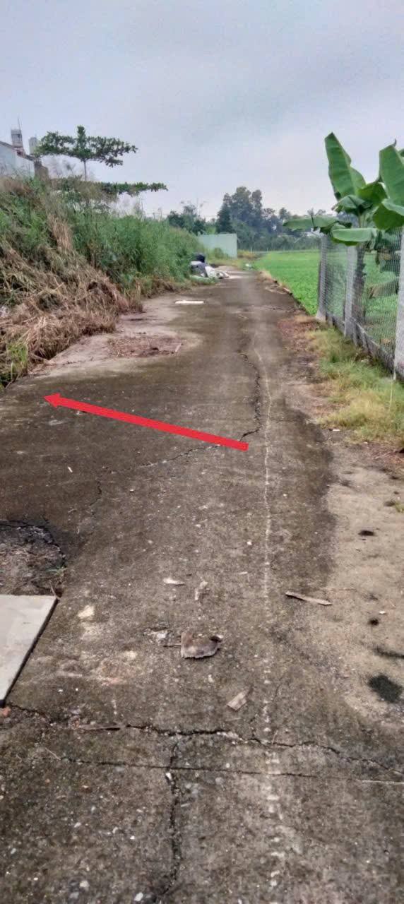 Đất nền chính chủ tại đường số 145, Bình Mỹ, Củ Chi 72m² - Giá chỉ 1.7 tỷ thương lượng!