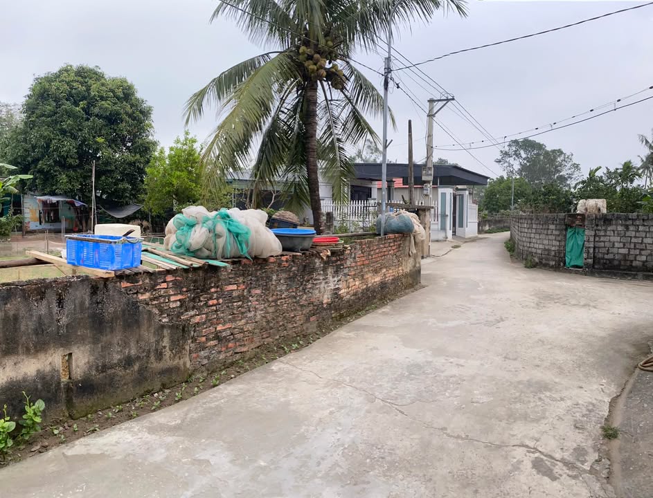 Đất biển Quảng Hải 258m² giá chỉ 1 tỷ - Cơ hội đầu tư hấp dẫn!