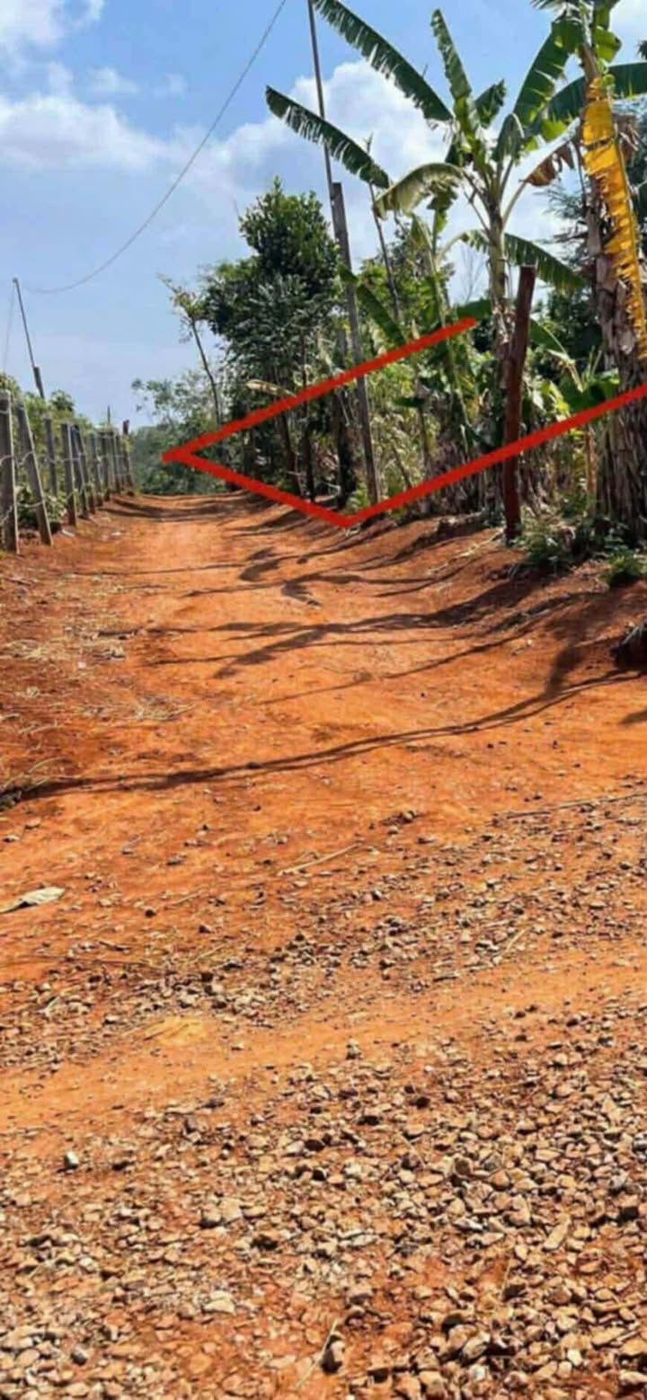 Đất thổ cư 150m² tại Ea Ktur, Cư Kuin chỉ 135 triệu - Cơ hội đầu tư hấp dẫn!