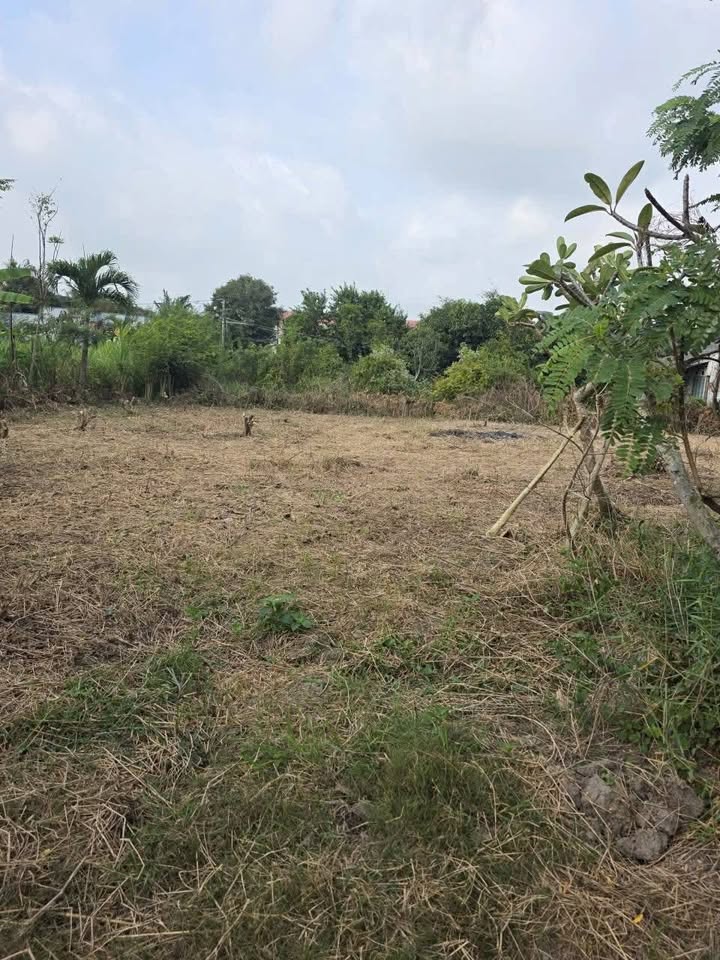 Đất nền Ấp Chợ, Xã Bình Ân, Gò Công Đông 675m² giá chỉ 445 triệu - Cơ hội đầu tư hấp dẫn!