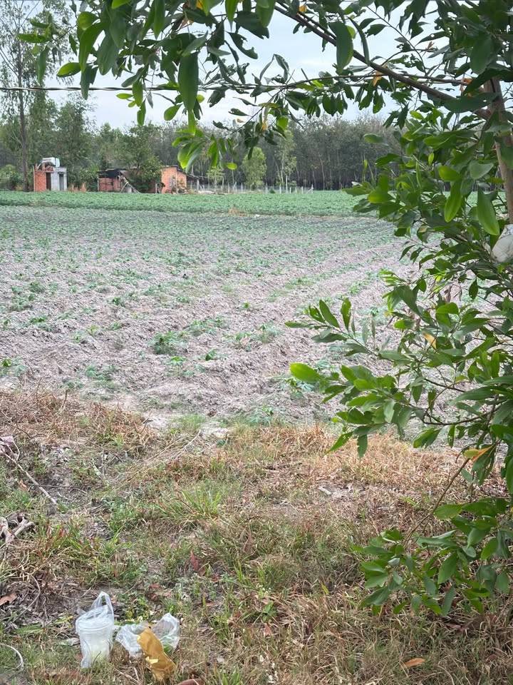 Đất thổ cư Phước Ninh DMC cũ 175m² giá 2xx triệu - Cơ hội đầu tư hấp dẫn!