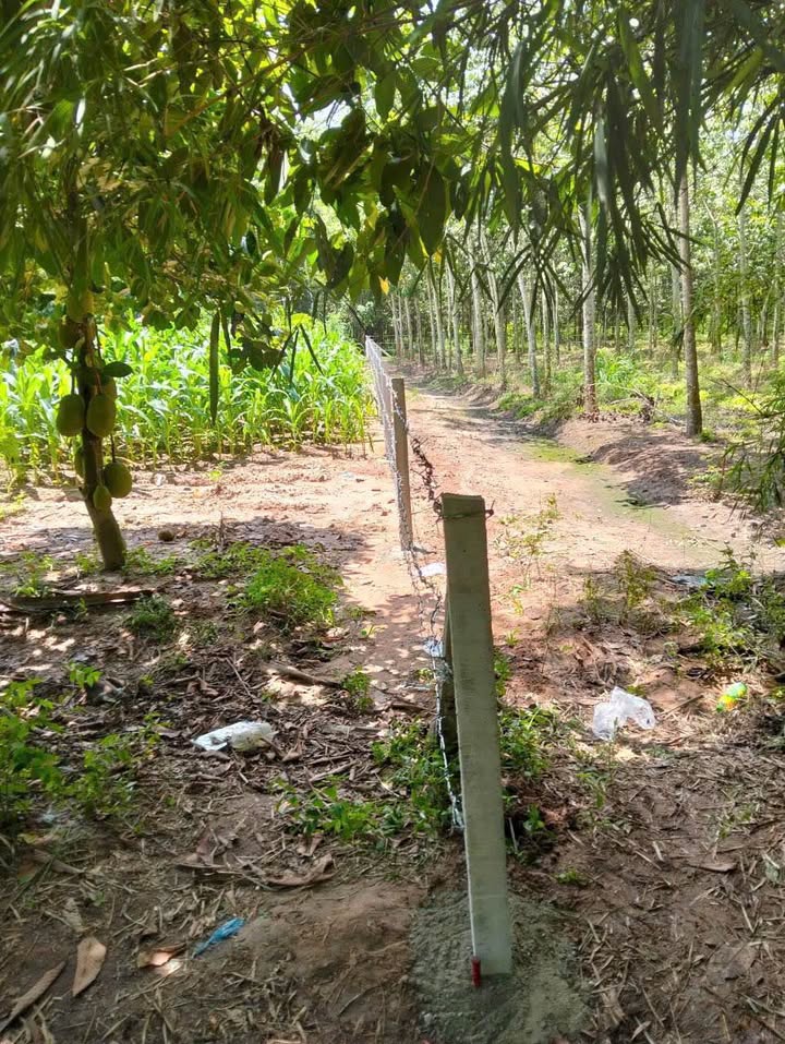 Đất nền Xã Thạnh Đức, Gò Dầu, Tây Ninh 1680m² giá 65.1 tỷ - Đầu tư sinh lời ngay!