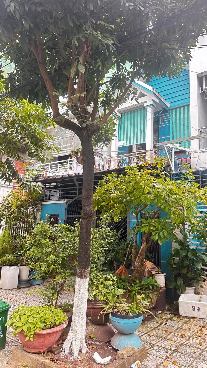 Nhà mặt tiền Đỗ Huy Uyển, Sơn Trà, Đà Nẵng 100m² giá 13 tỷ - Kinh doanh sinh lời cao!