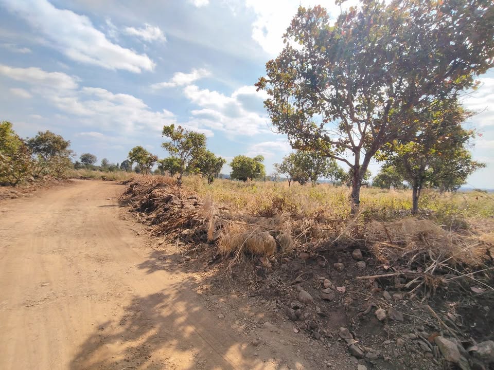 Đất nền 2 hecta tại Ea M'DRóh, Cư M'gar - Giá chỉ 8 tỷ VND - Đầu tư sinh lời ngay!