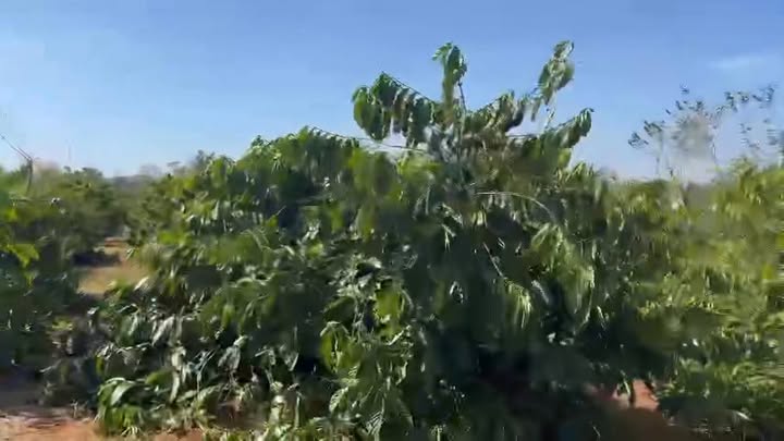 Đất nền Kinh doanh 160m² tại Lý Chính Thắng, Buôn Hồ - Cơ hội đầu tư vàng!