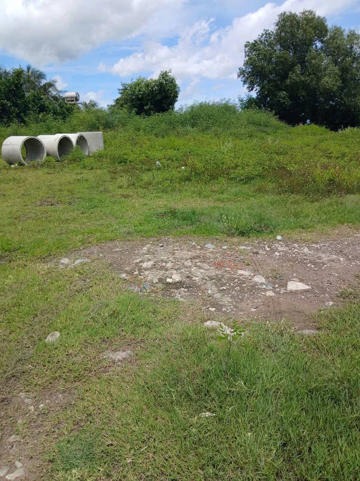 Đất thổ cư 1745m² gần Khẩu Cây Me - Bến Cầu chỉ 43.5 tỷ - Đầu tư sinh lời!