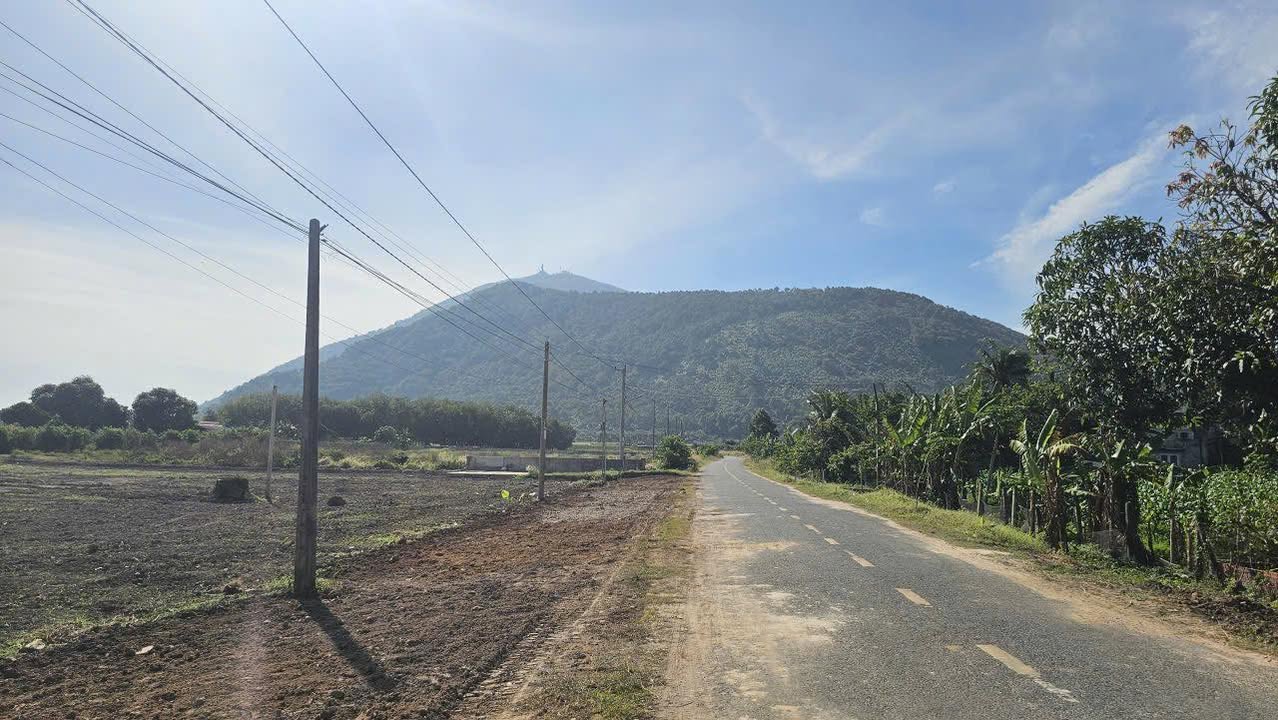 Đất nền Thạnh Lợi 95m² giá 10.45 tỷ - Mặt tiền nhựa 12m, thương lượng hấp dẫn!