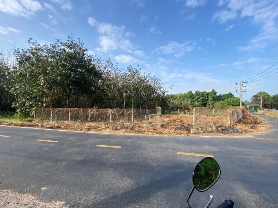 Đất mặt tiền đường Giồng Cà, Tây Ninh 600m² giá 90 tỷ - Sổ hồng chính chủ