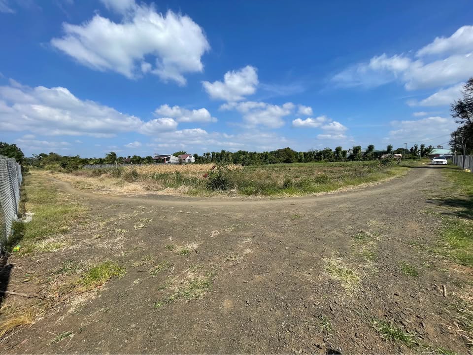 Đất thổ cư Hòa Khánh, Buôn Ma Thuột 7.5 sào - Cơ hội đầu tư tuyệt vời!