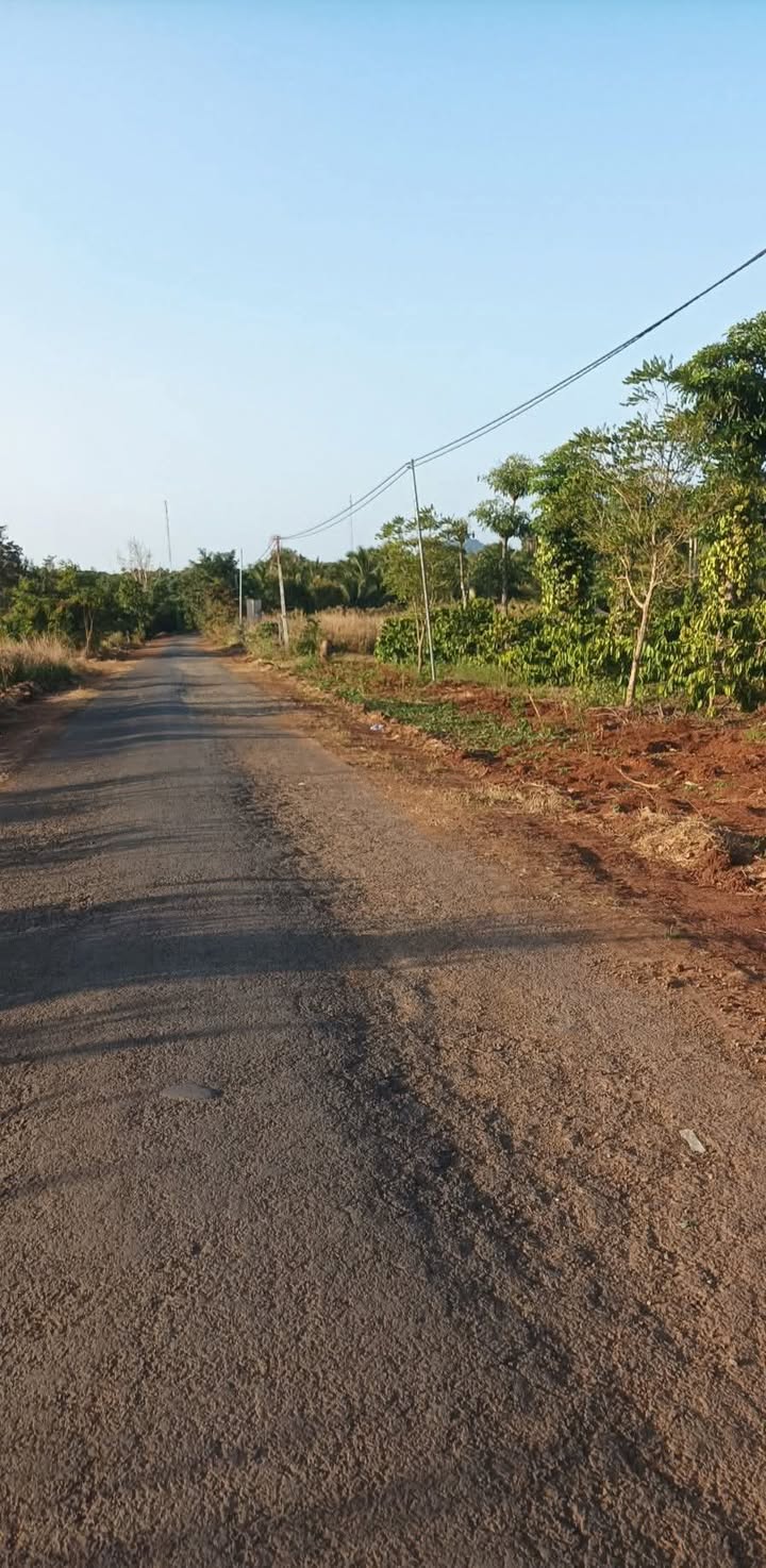 Đất nền Khánh Xuân 500m² giá 650 triệu - Mặt đường nhựa thông thoáng!