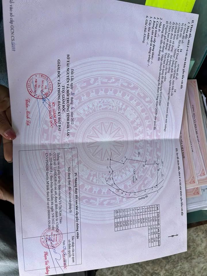 Đất Farm 7.000m² M’Doal, Đắk Lắk giá 850 triệu - Sổ hồng chính chủ, đầu tư lý tưởng!