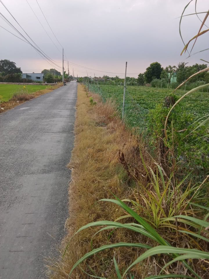 Đất thổ cư ấp 6 Gia Thuận 3403m² giá 8.3 tỷ - Mặt tiền nhựa, gần khu công nghiệp!