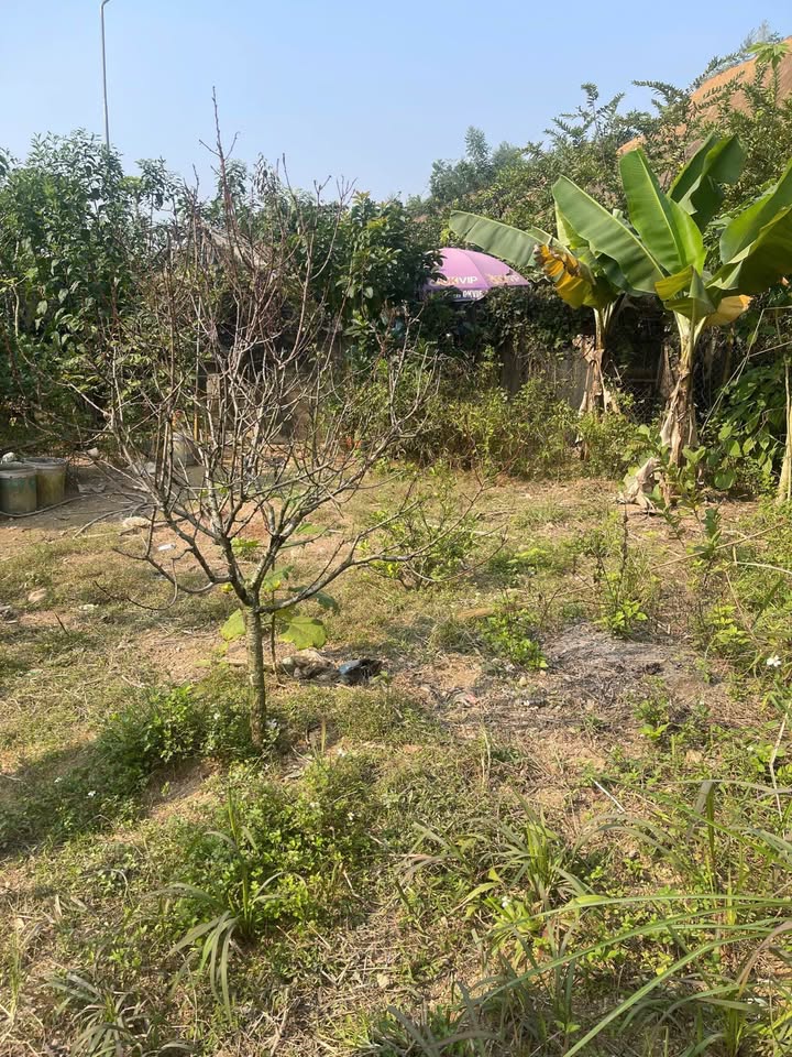 Nhà 2 tầng tại VT1 KM 2, TP Yên Bái - Giá chỉ 4,7 tỷ - Khu vực buôn bán sầm uất!