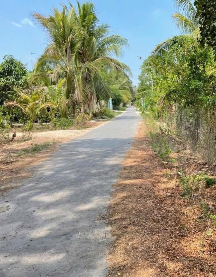 Đất nền ấp Công Tạo, Bình Phú, Tân Hồng 135m² giá chỉ 300 triệu - Cơ hội đầu tư hấp dẫn!