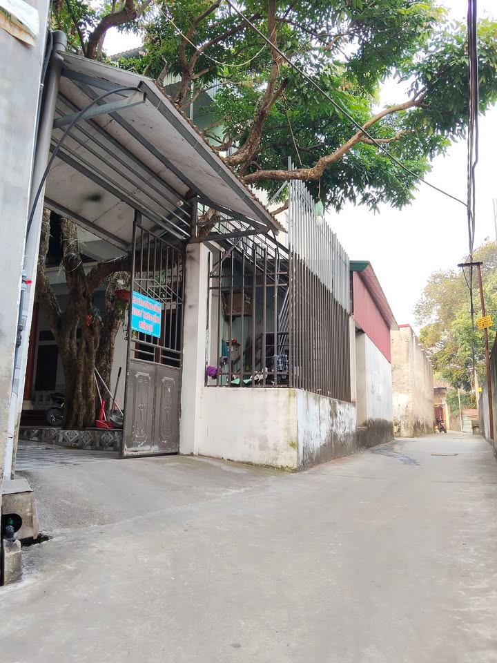 Đất thổ cư Lãm Trại, Phường Nam Sơn, Bắc Ninh 75.5m² - Giá chỉ hơn 1 tỷ!