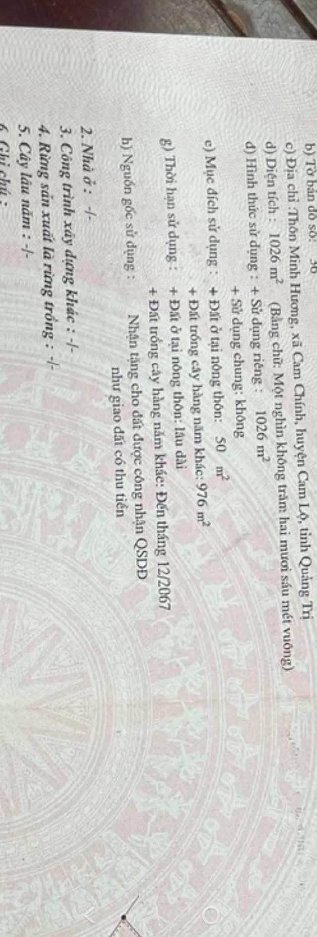 Đất nền Cam Chính, Cam Lộ 1150m² giá 200 triệu - Cơ hội đầu tư tuyệt vời!