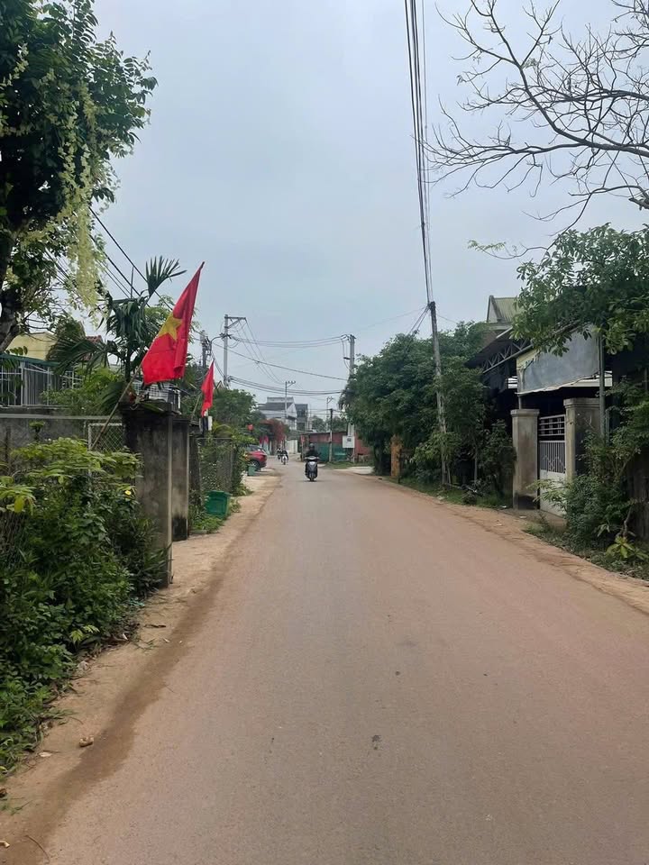 Đất nền thổ cư đường nhựa Phường 5, Quận 5 - Diện tích 126m², giá 1.5 tỷ!