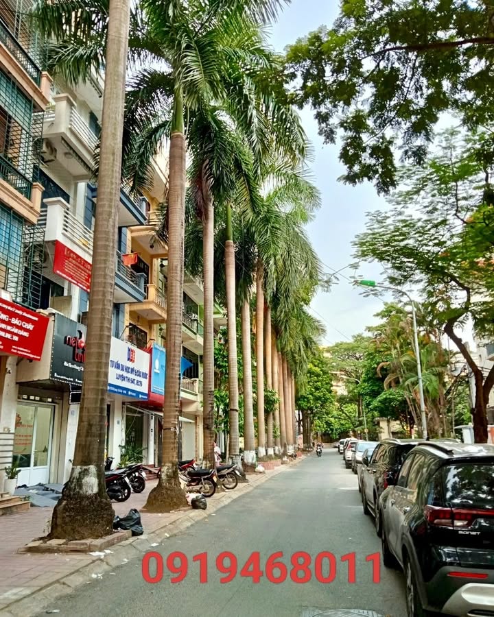 Nhà phố Nguyễn Thị Định, Thanh Xuân 81m² giá 3 tỷ - Vị trí đắc địa, dân trí cao!