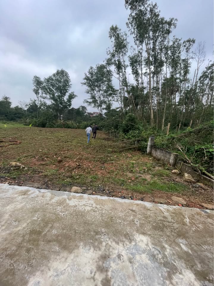 Đất Ngọc Sơn, Thạch Hà 200m² - Cách chợ 500m, Giao dịch nhanh!