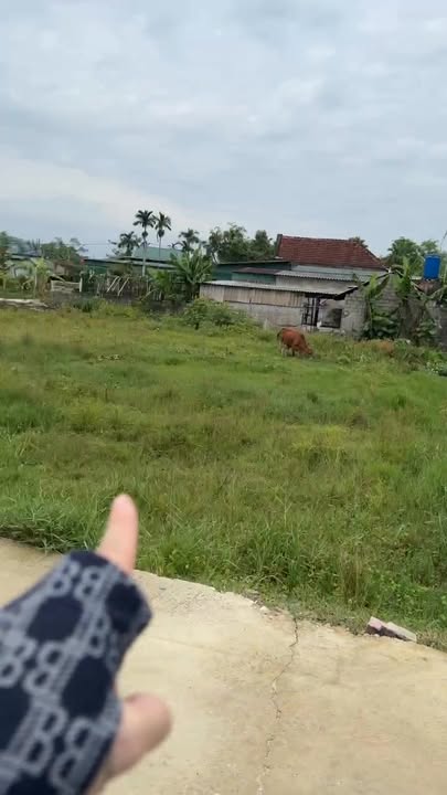 Đất nền Thạch Lưu cũ 157m² giá 1 tỷ - Sổ đỏ chính chủ, vị trí thuận lợi!