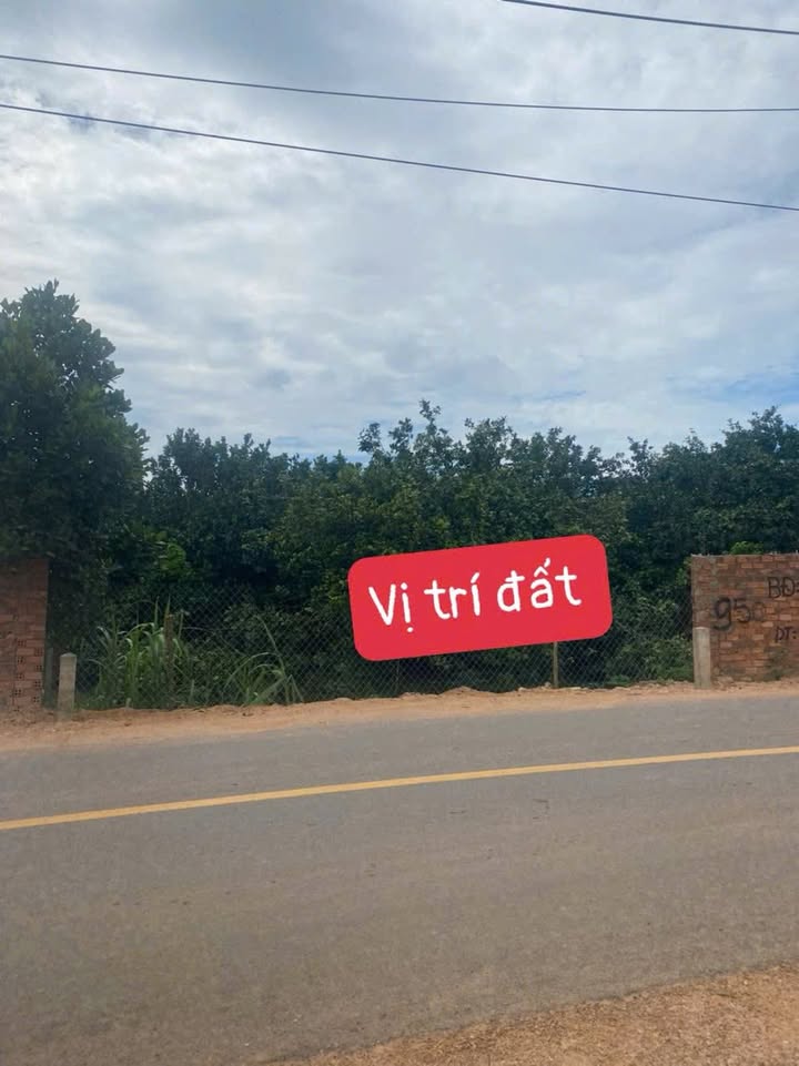 Đất nền Trảng Bom 110m² giá 800 triệu - Mặt tiền đường nhựa rộng rãi