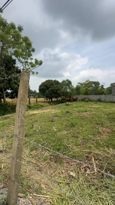 Đất nền Hậu Lộc 700m² giá chỉ 2.016 tỷ - Cơ hội đầu tư tuyệt vời!