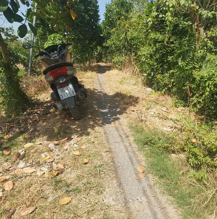 Đất nông nghiệp 6100m² tại Tân Khánh Trung, Đồng Tháp - Giá tốt 1.342 tỷ!